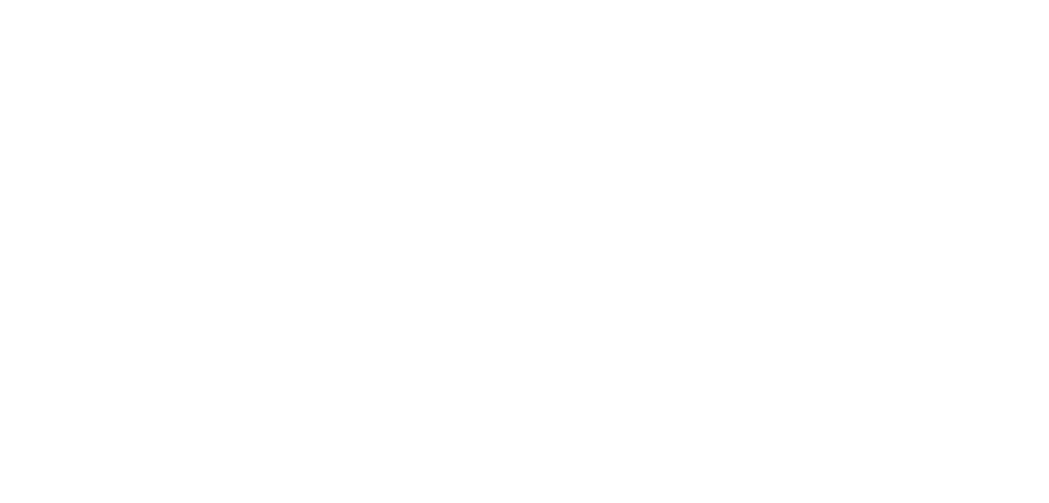 NPA Logo